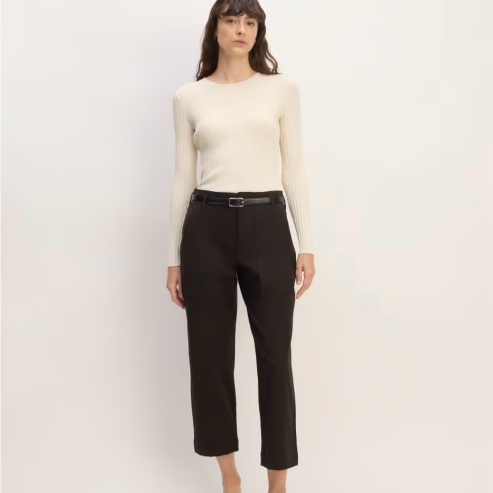 NWT Everlane bi stretch utility pants